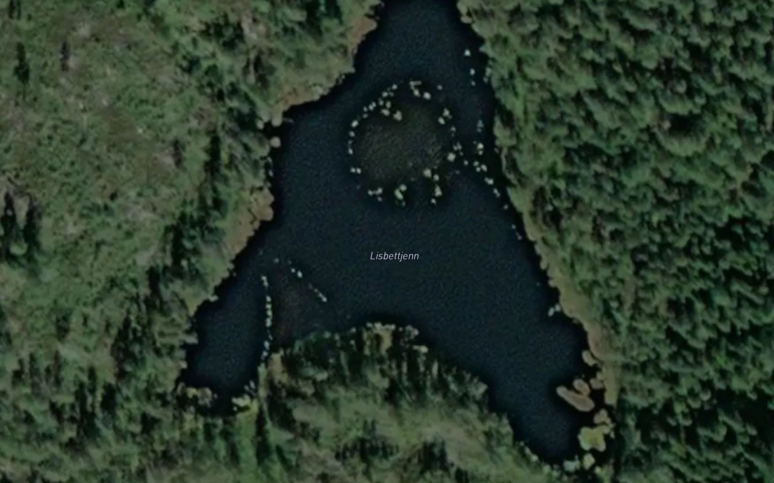Lisbettjenn