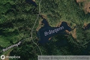 Bratetjern