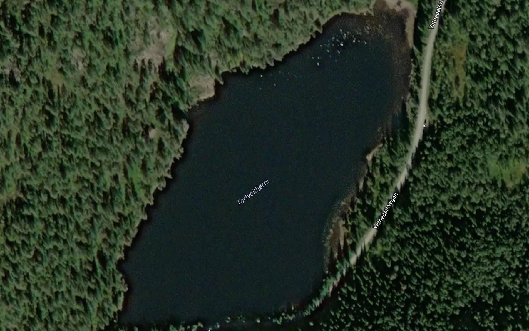 Satellite map of the Tortveittjorni