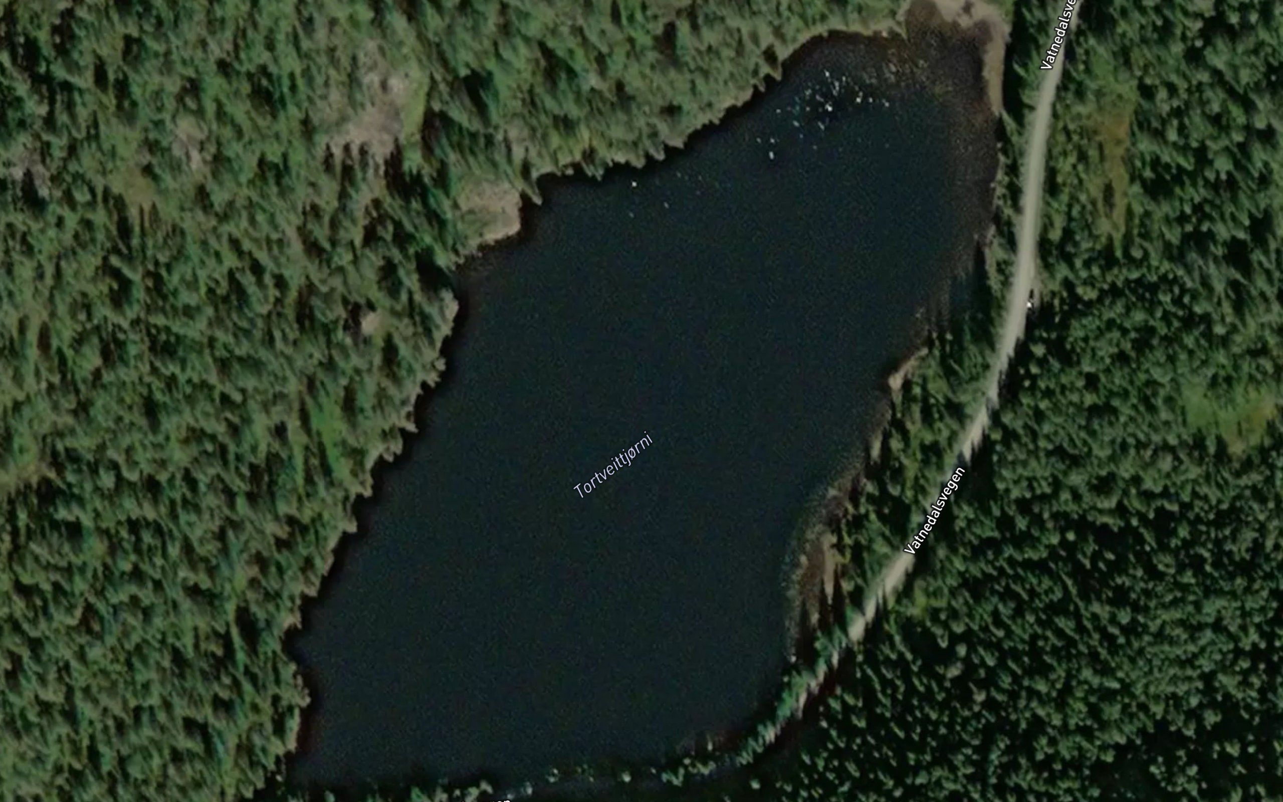 Tortveittjorni