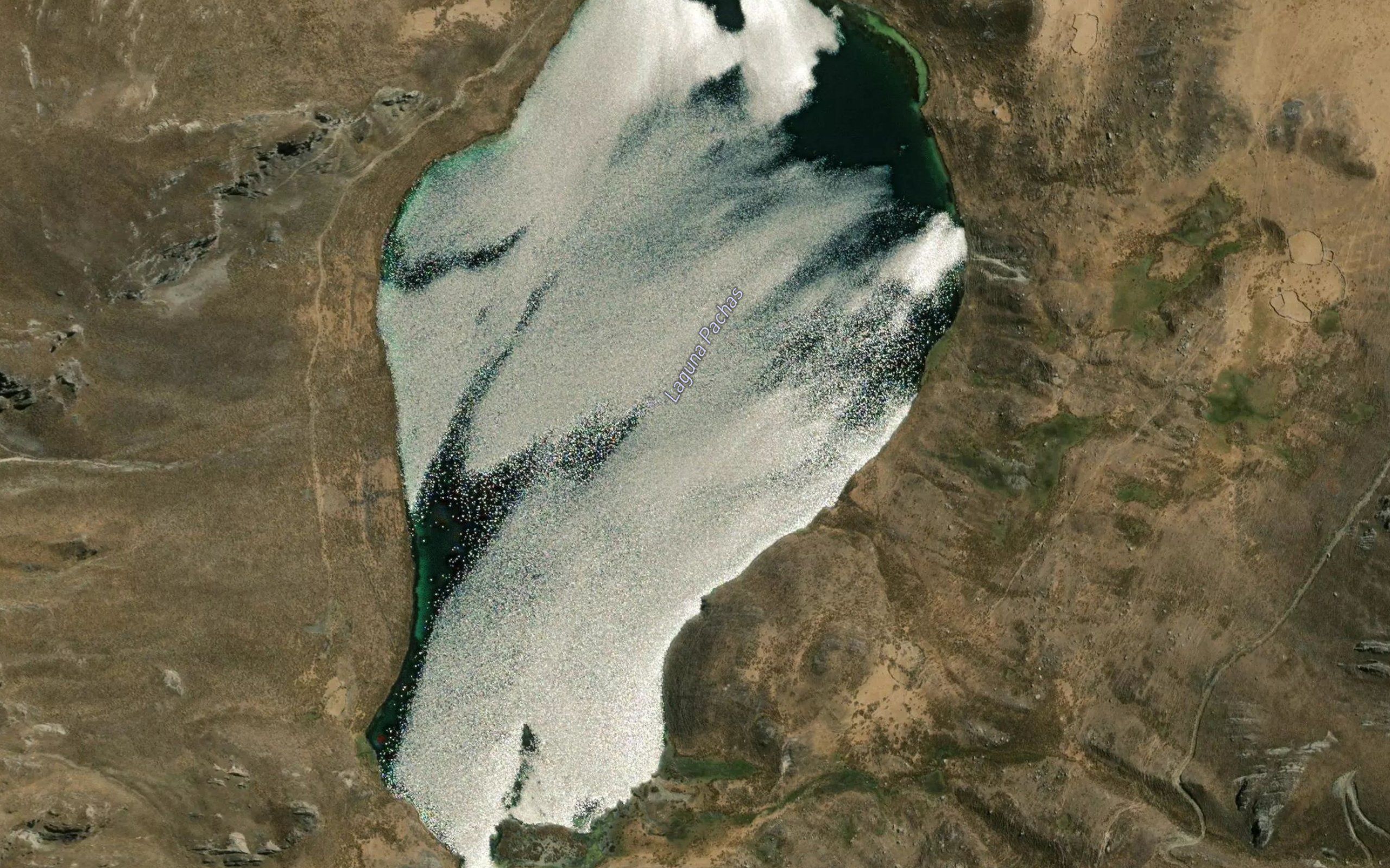 Laguna Pachas