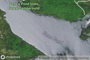 Gene Pond