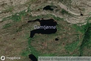 Damtjorna