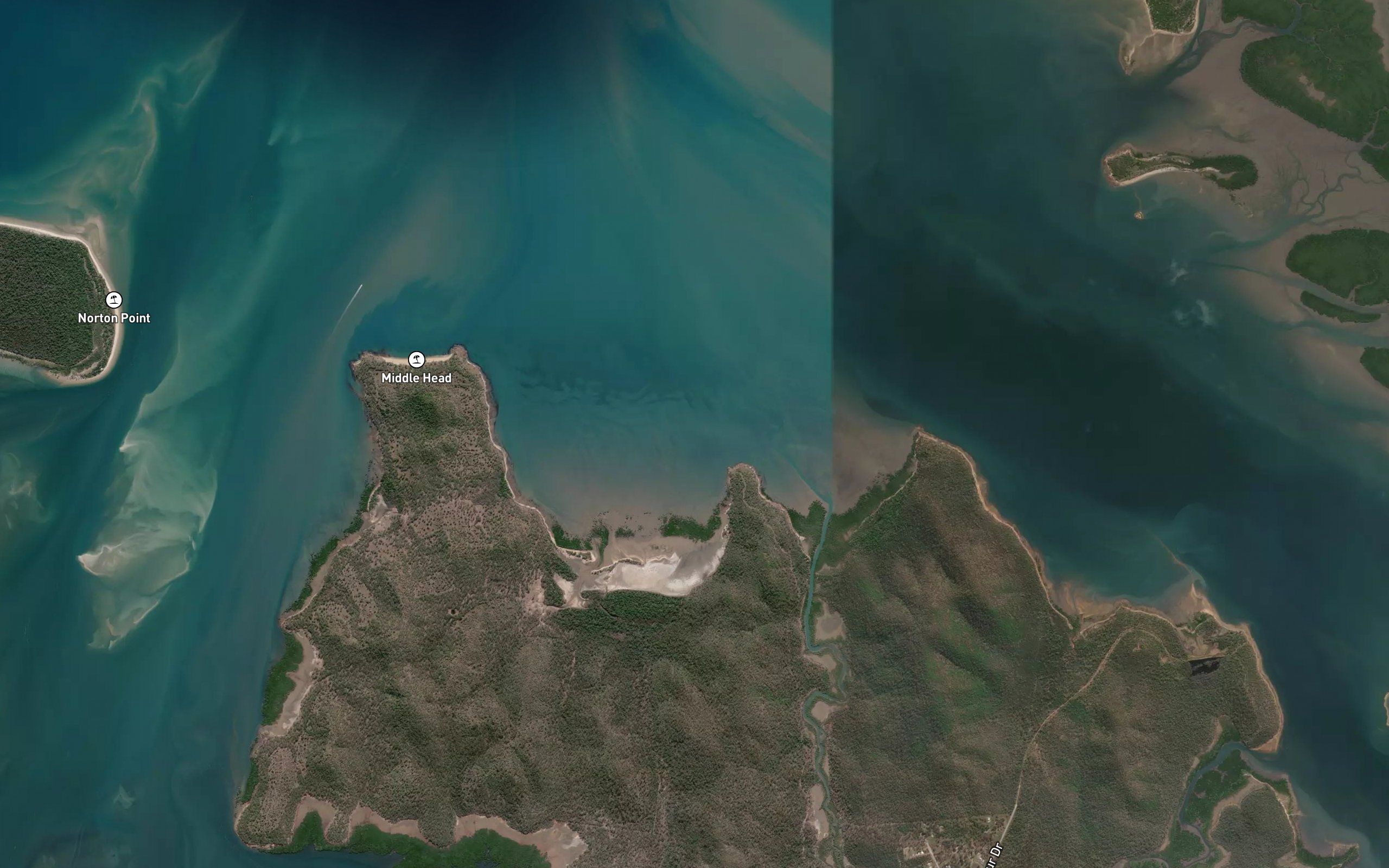 Mangrove Bay