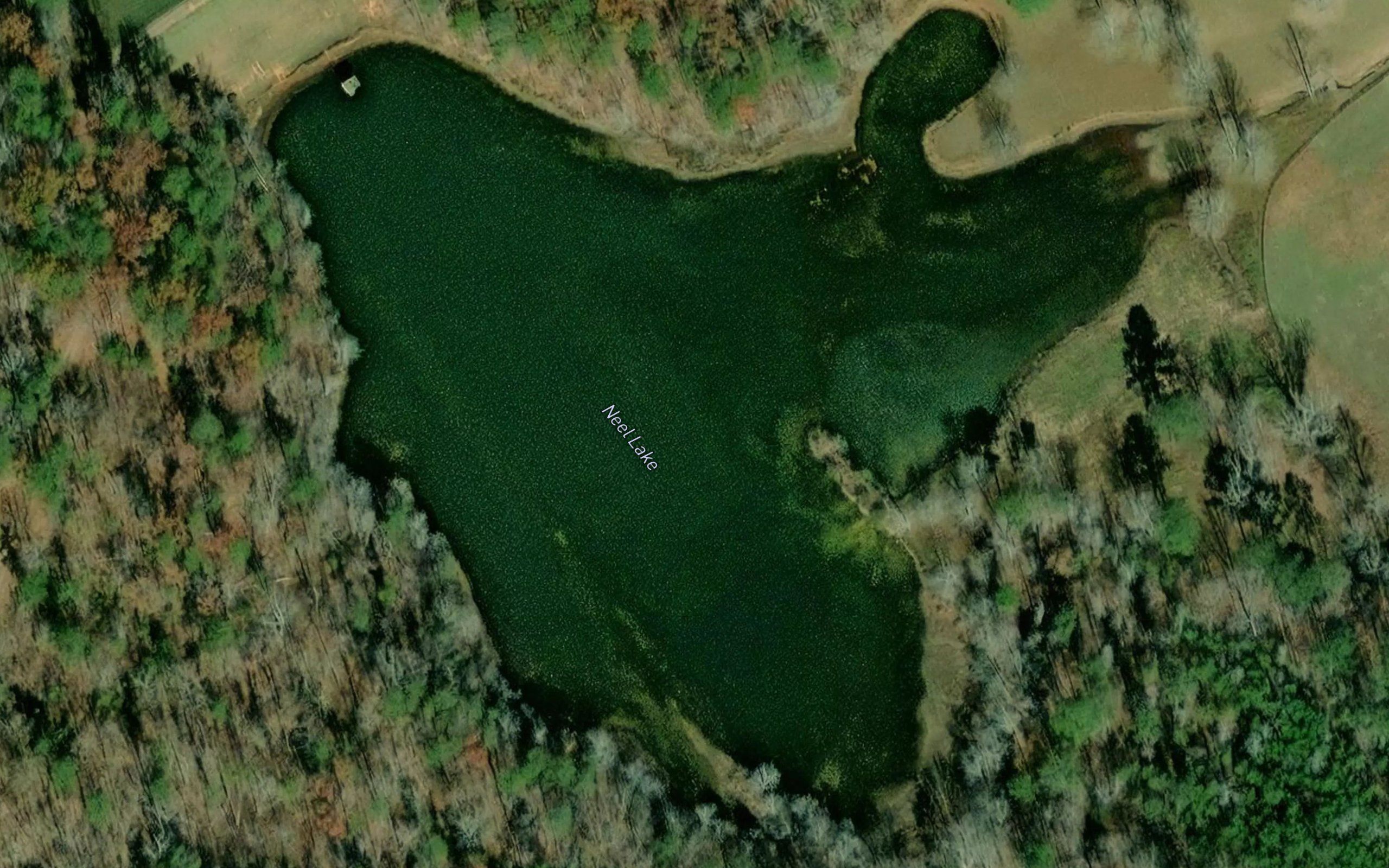 Neel Lake
