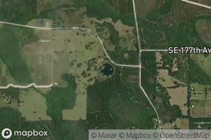 Still Pond