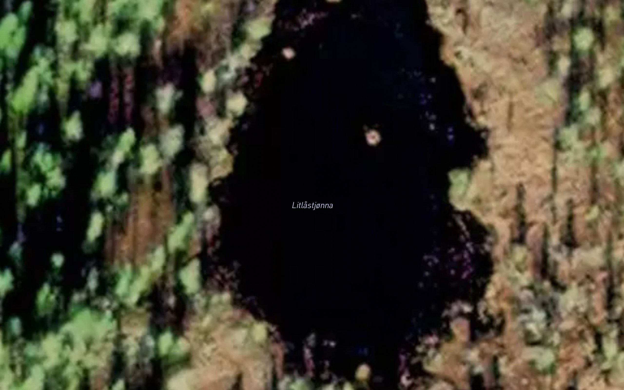 Litlastjorna
