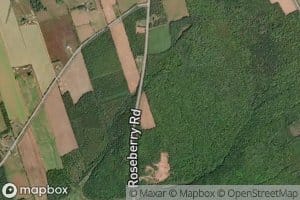 Roseberry Twin Ponds