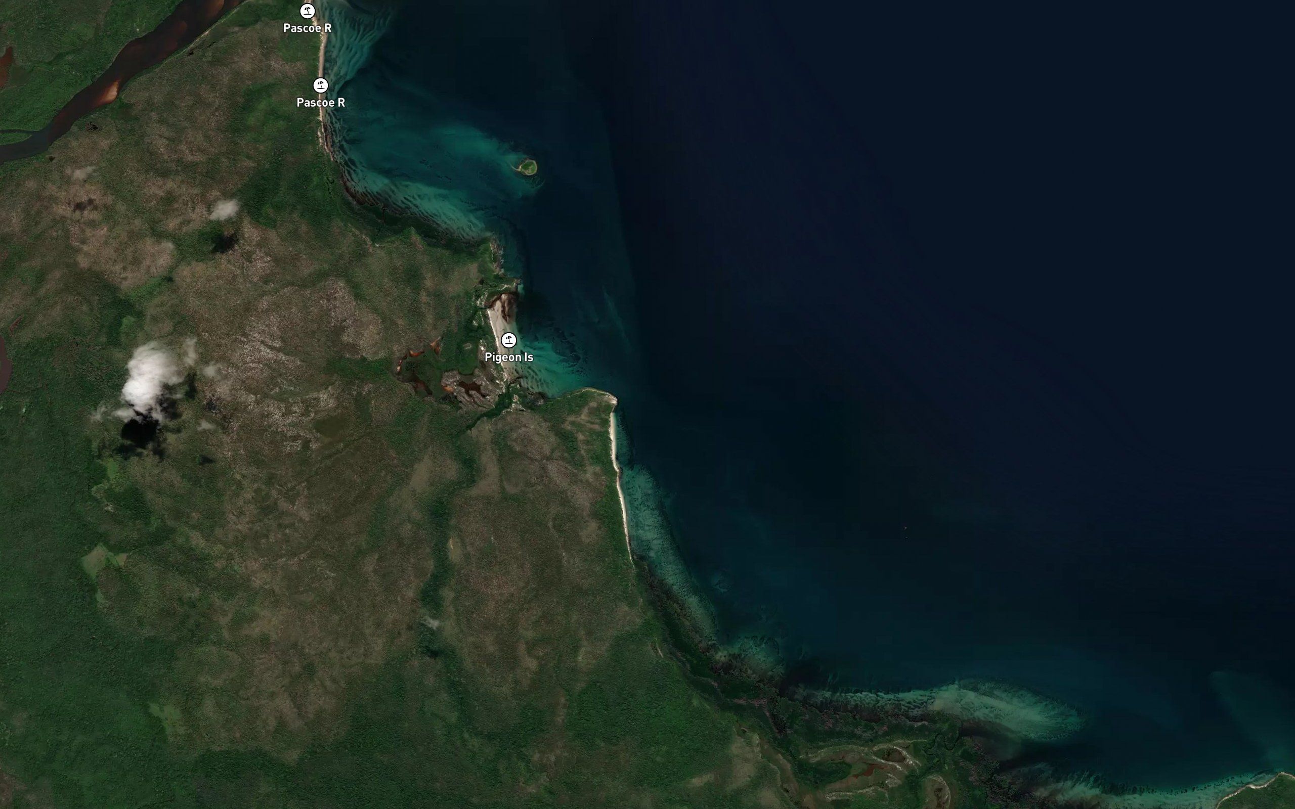 Alligator Creek