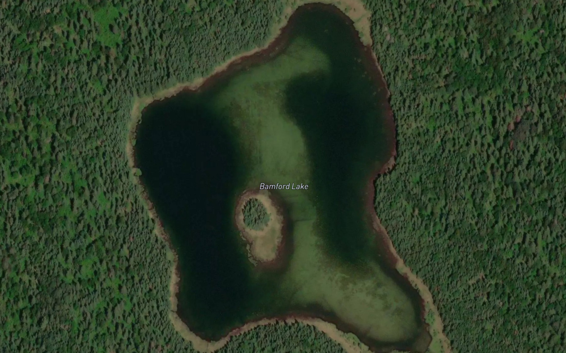 Satellite map of the Bamford Lake