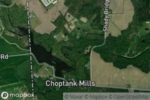 Culbreth Marsh Ditch