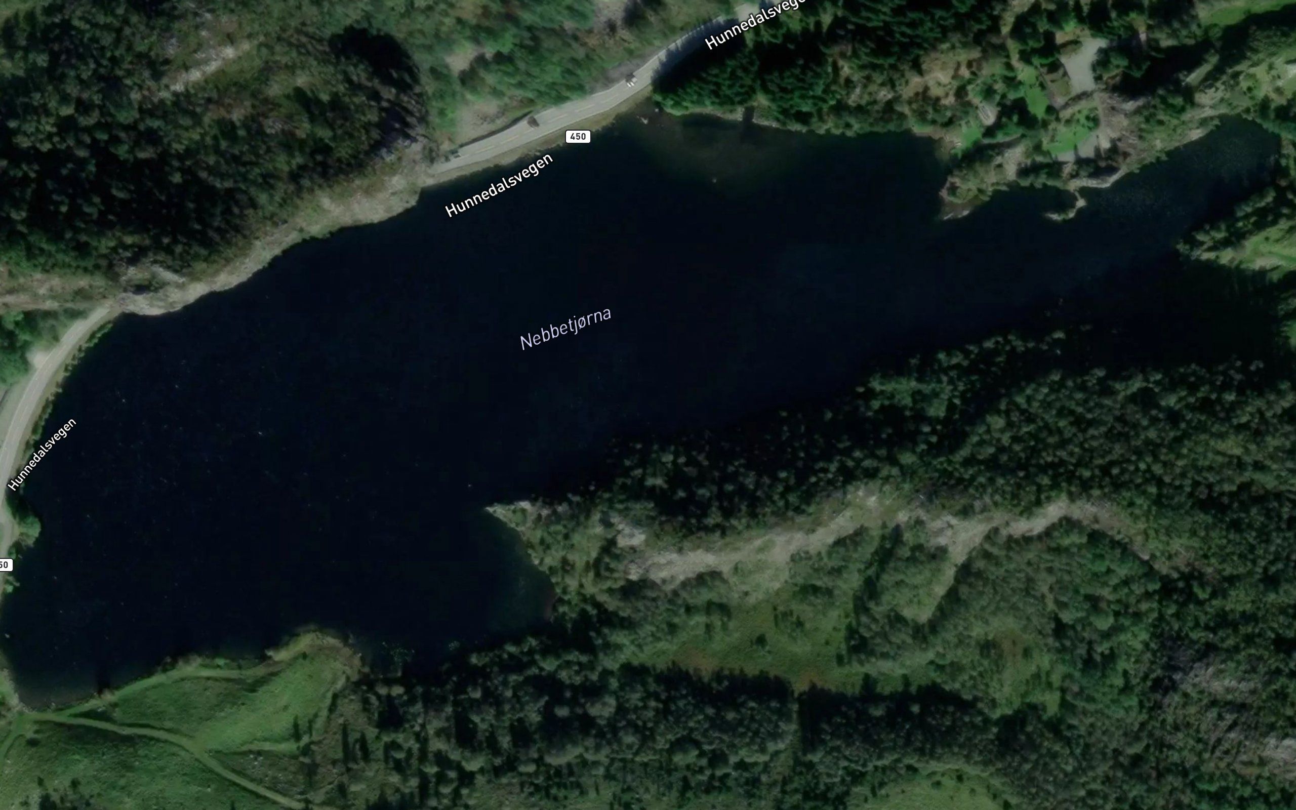 Nebbetjorna