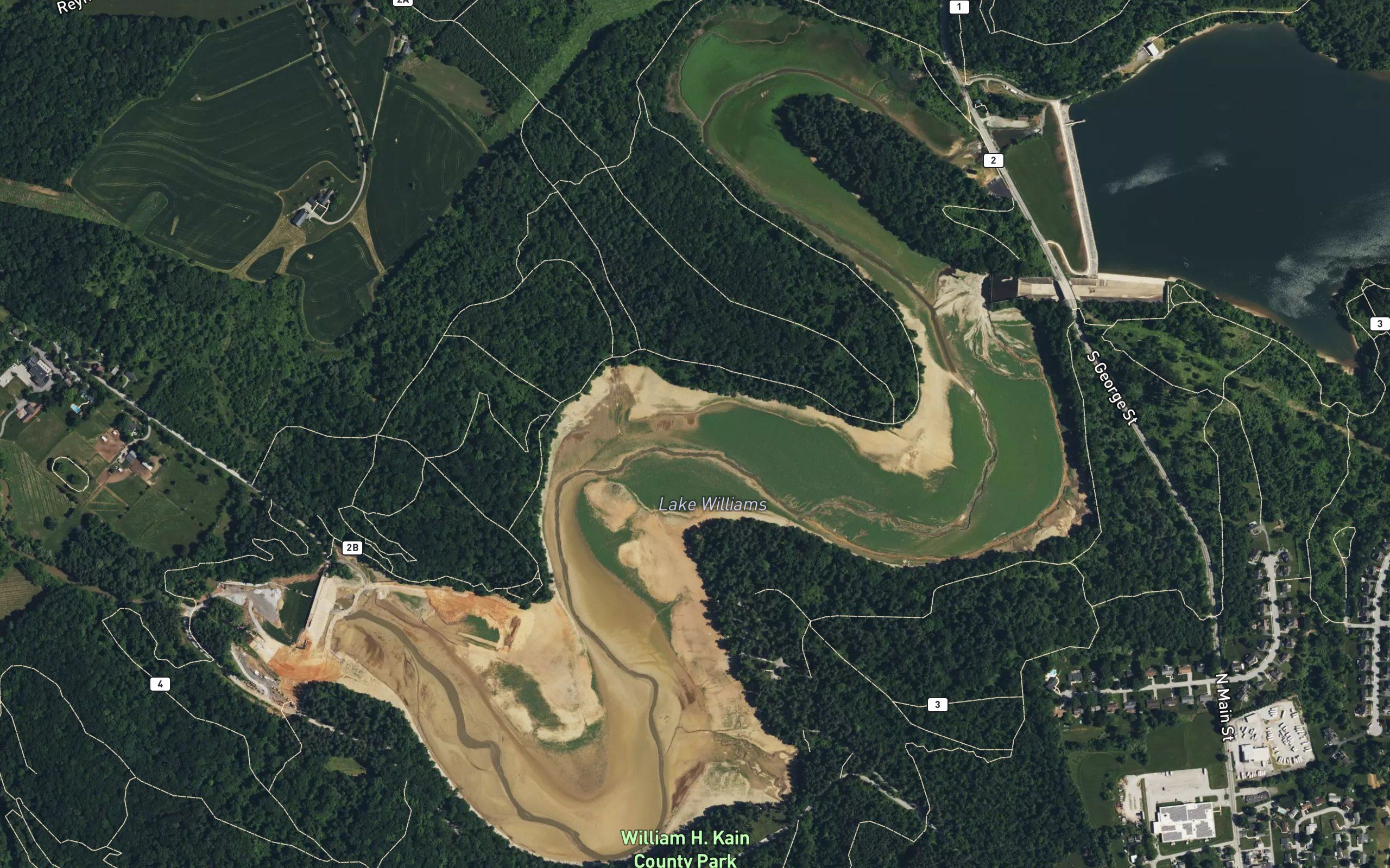 Lake Williams