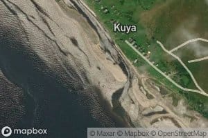 Kuya