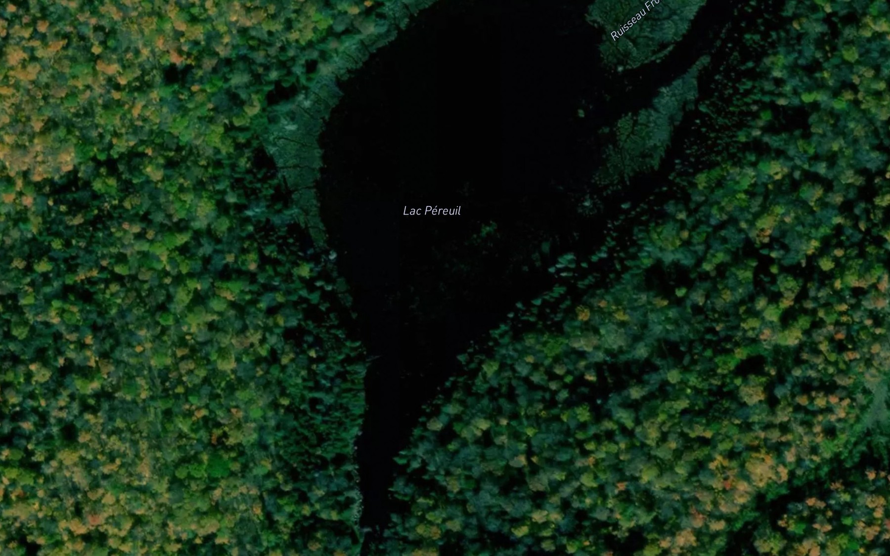 Satellite map of the Lac Pereuil