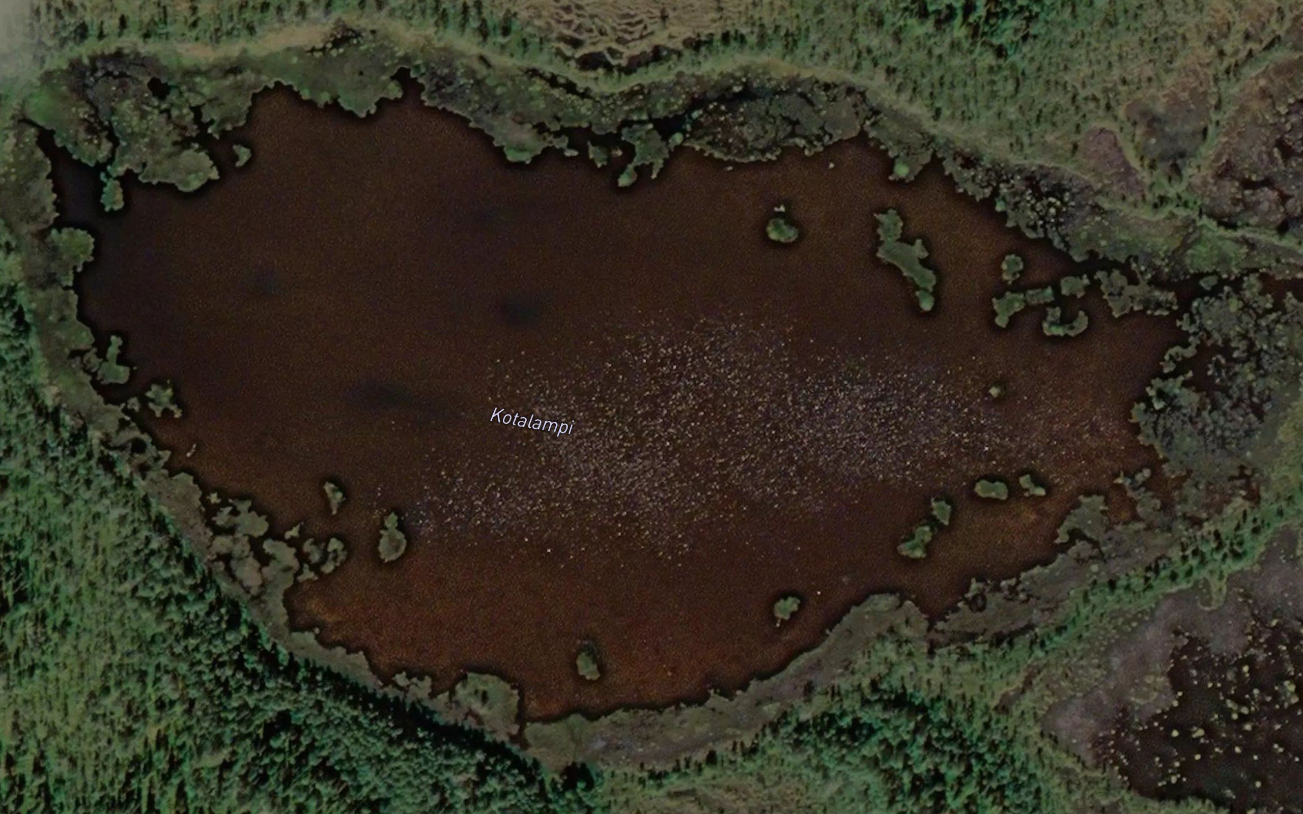 Kotalampi