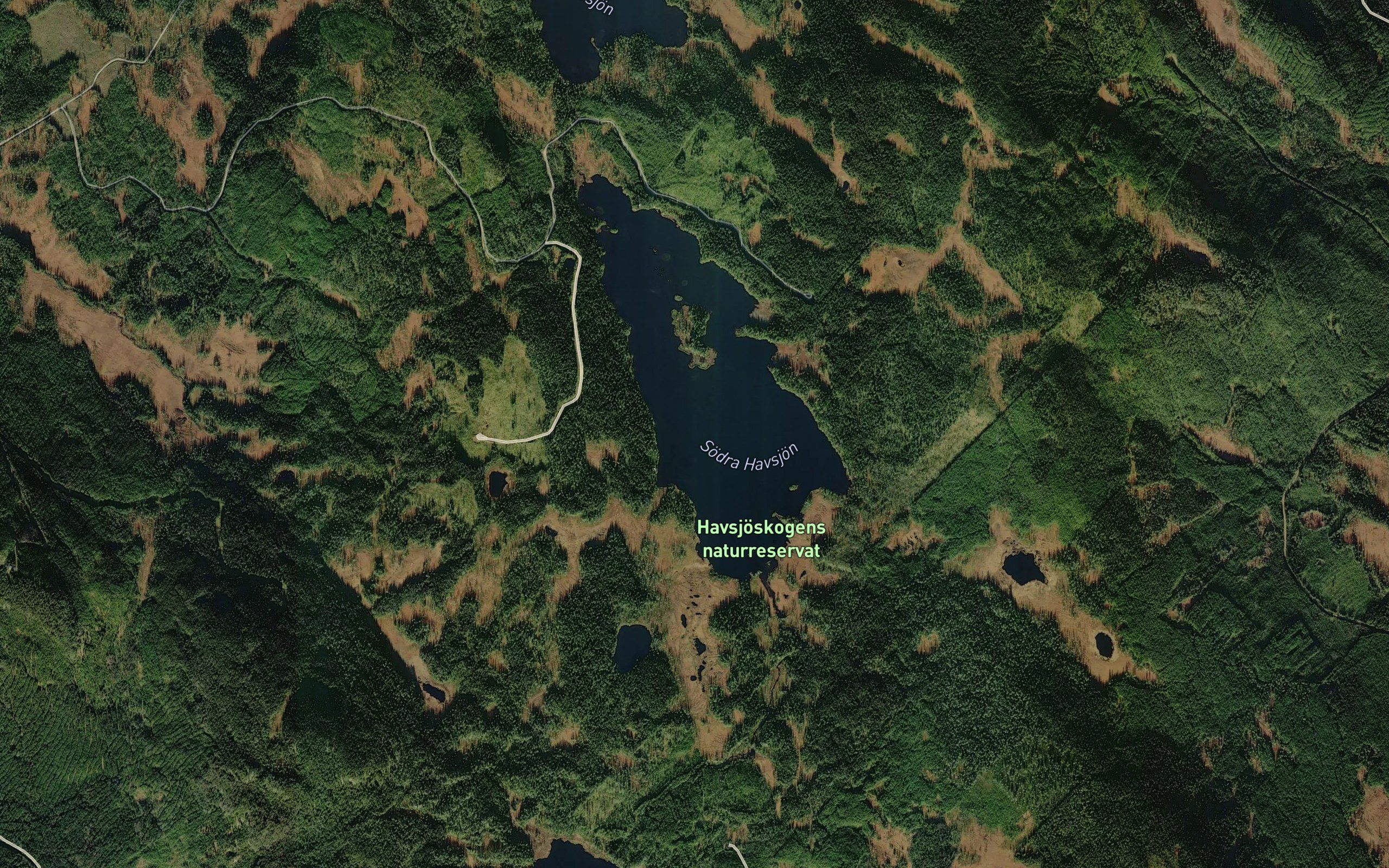 Havsjoarna