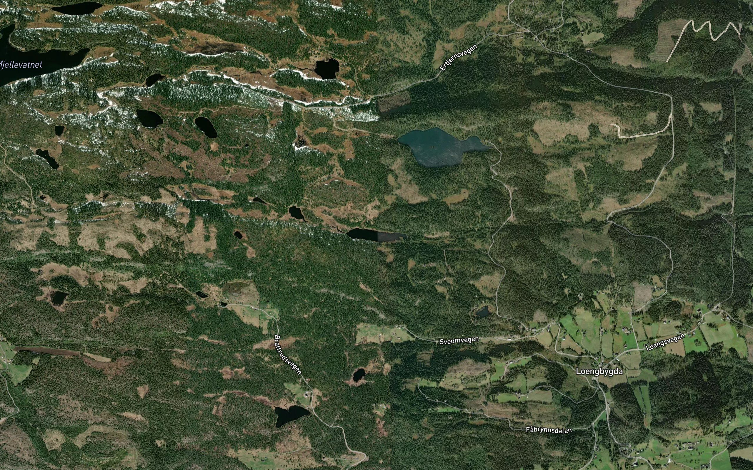 Langdamtjernet