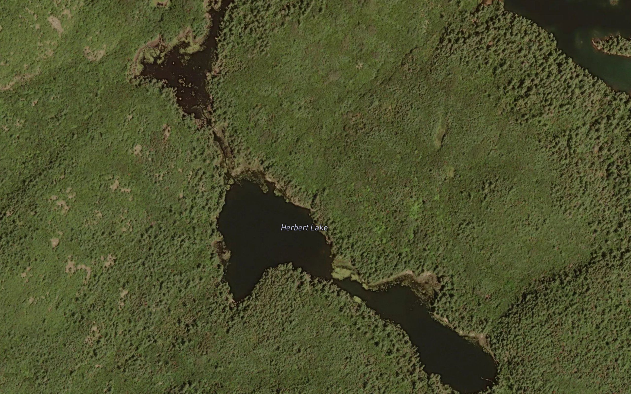 Herbert Lake