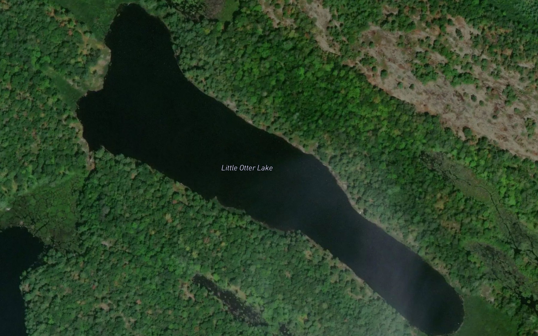 Satellite map of the Little Otter Lake