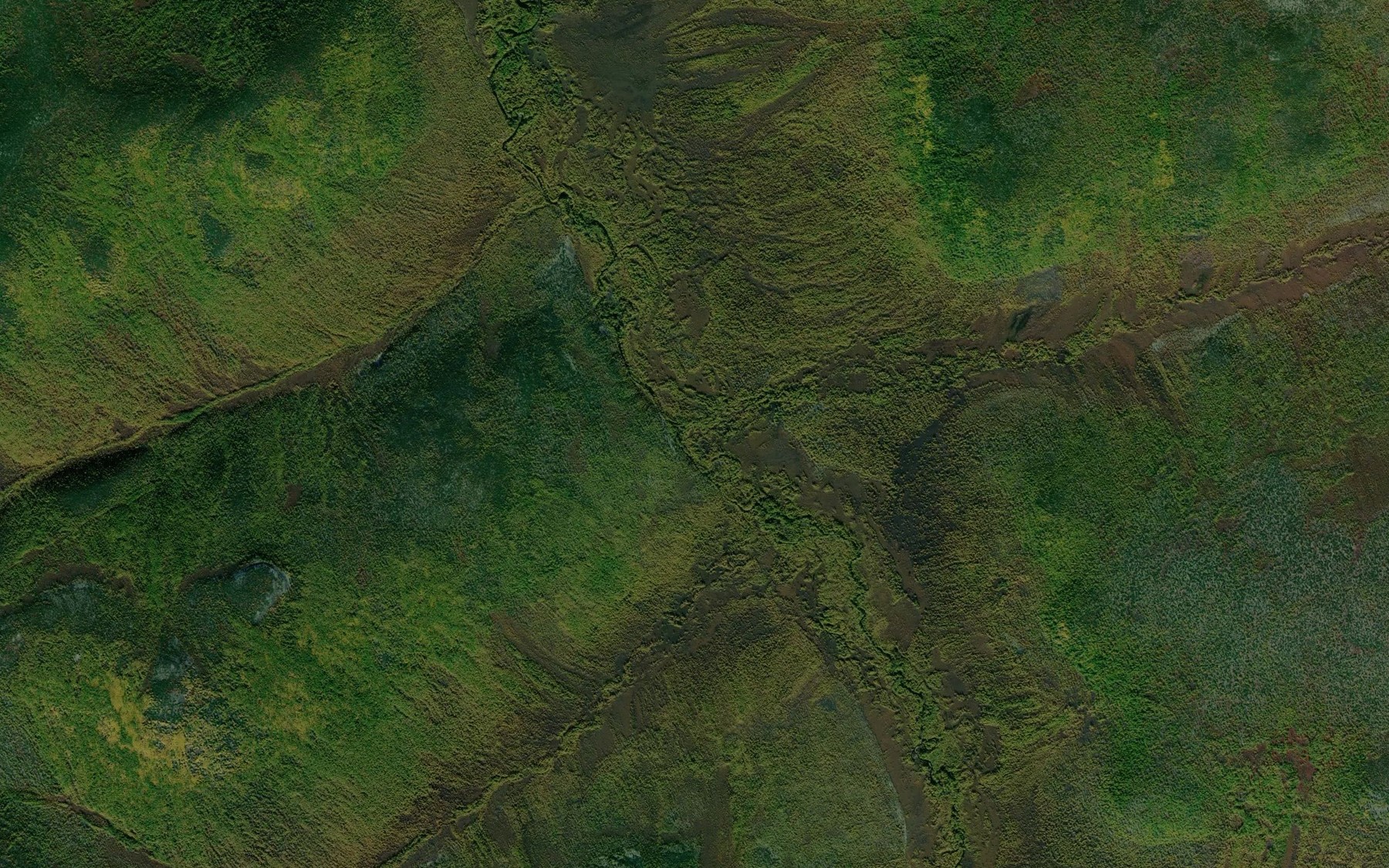 Satellite map of the Kustarnikovyy