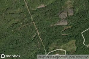 Middle Branch Newport Creek