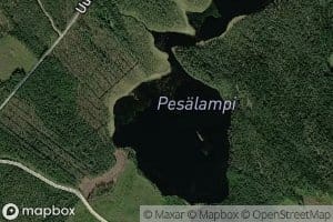 Pesalampi