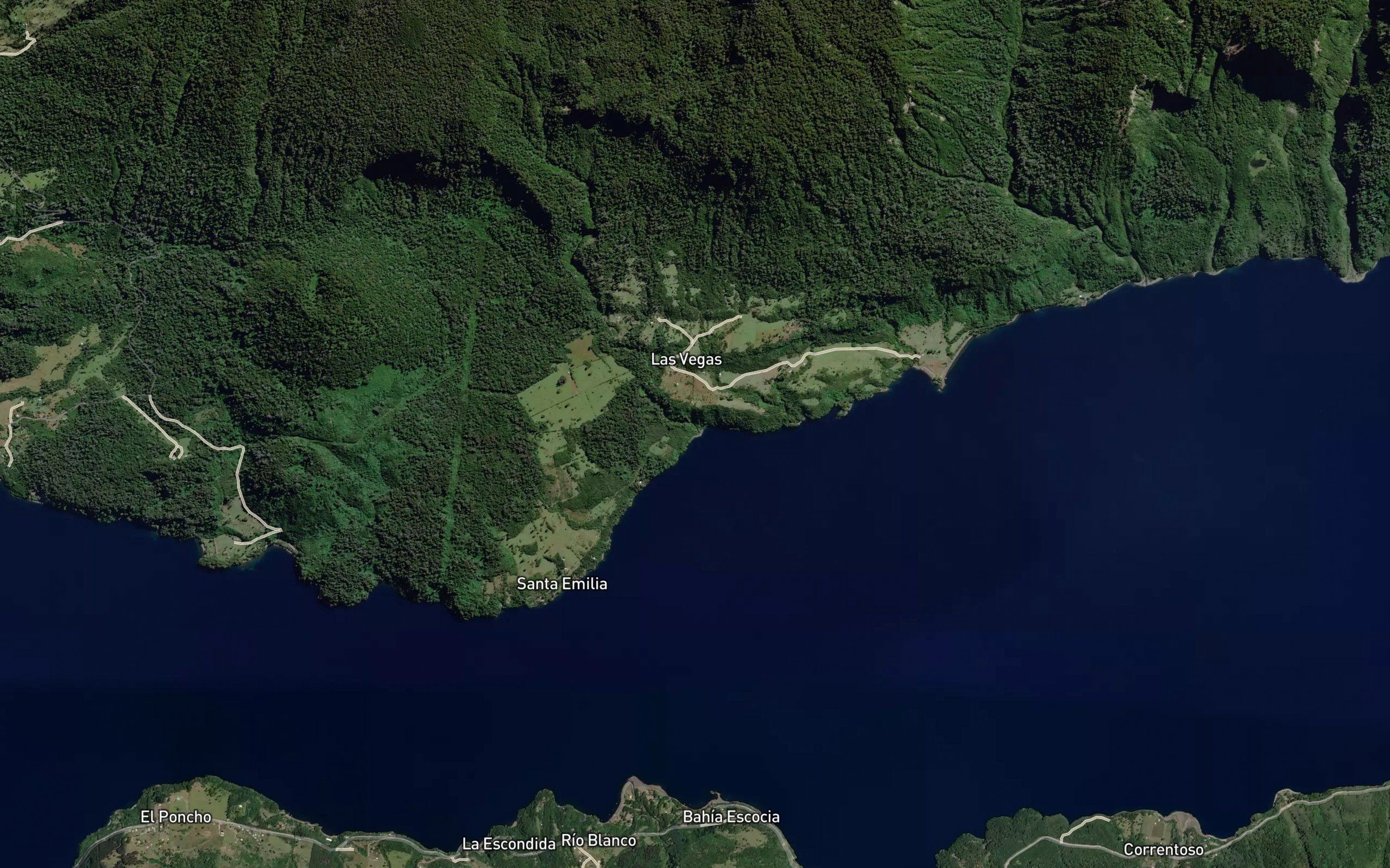 Estero Coique
