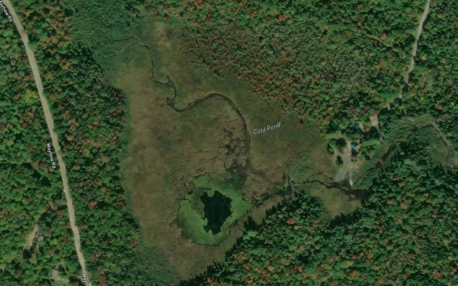 Satellite map of the Cold Pond