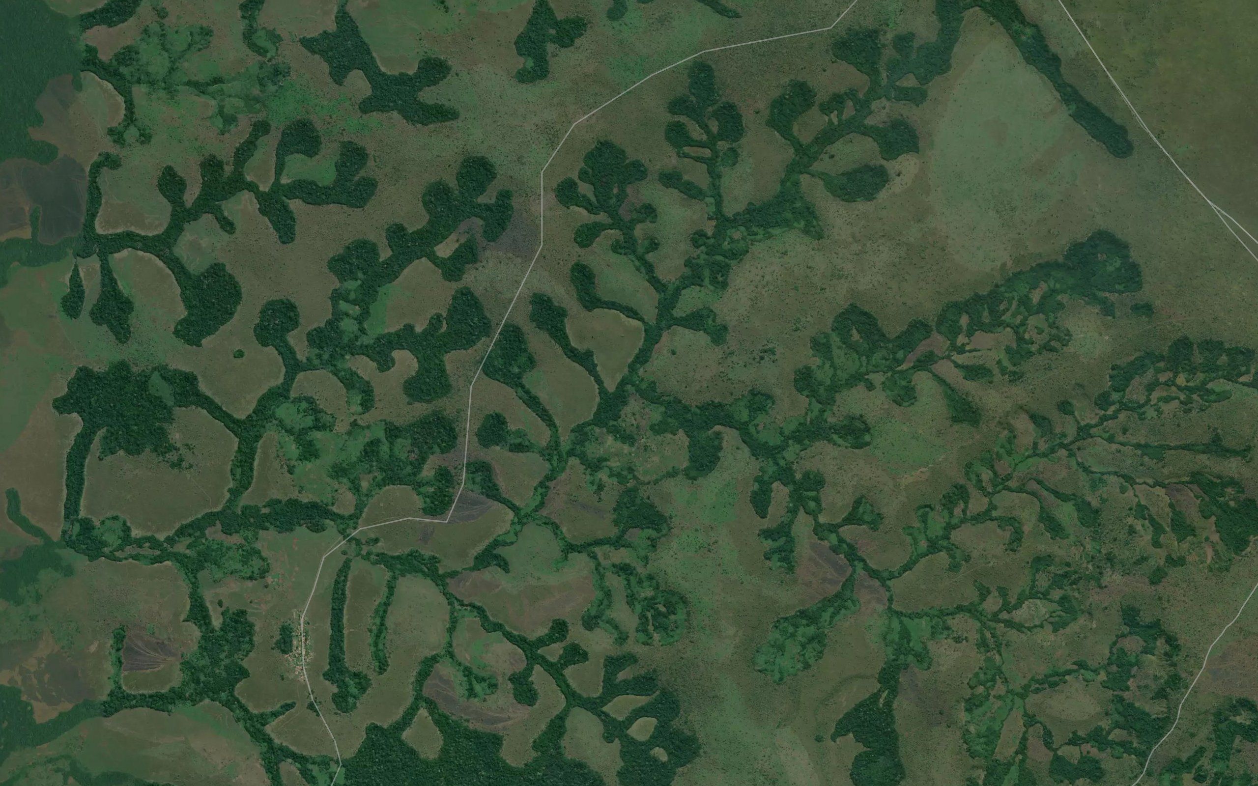Tshoma