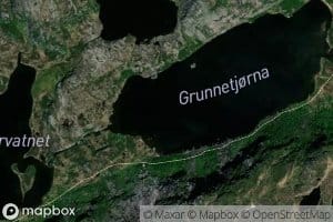 Grunnetjorna
