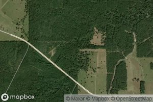 Satellite map of the Uncle Charlie Slough