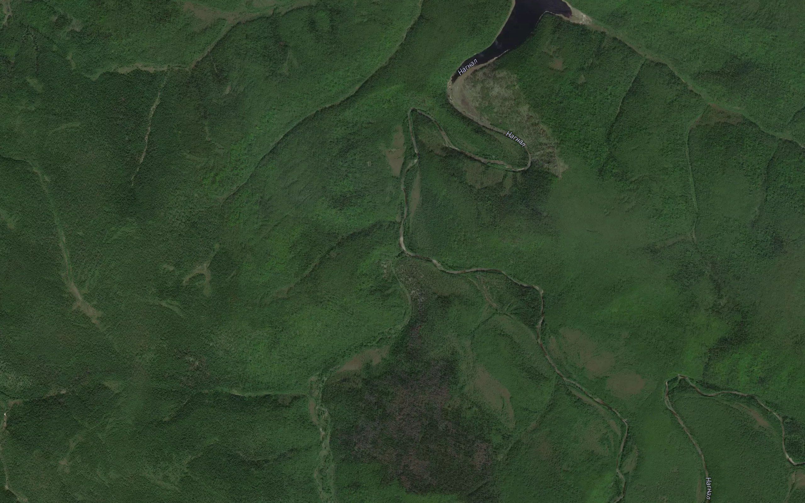 Amyaka
