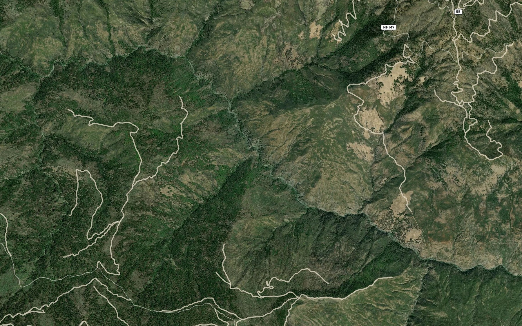 Satellite map of the Harvey Spring Creek