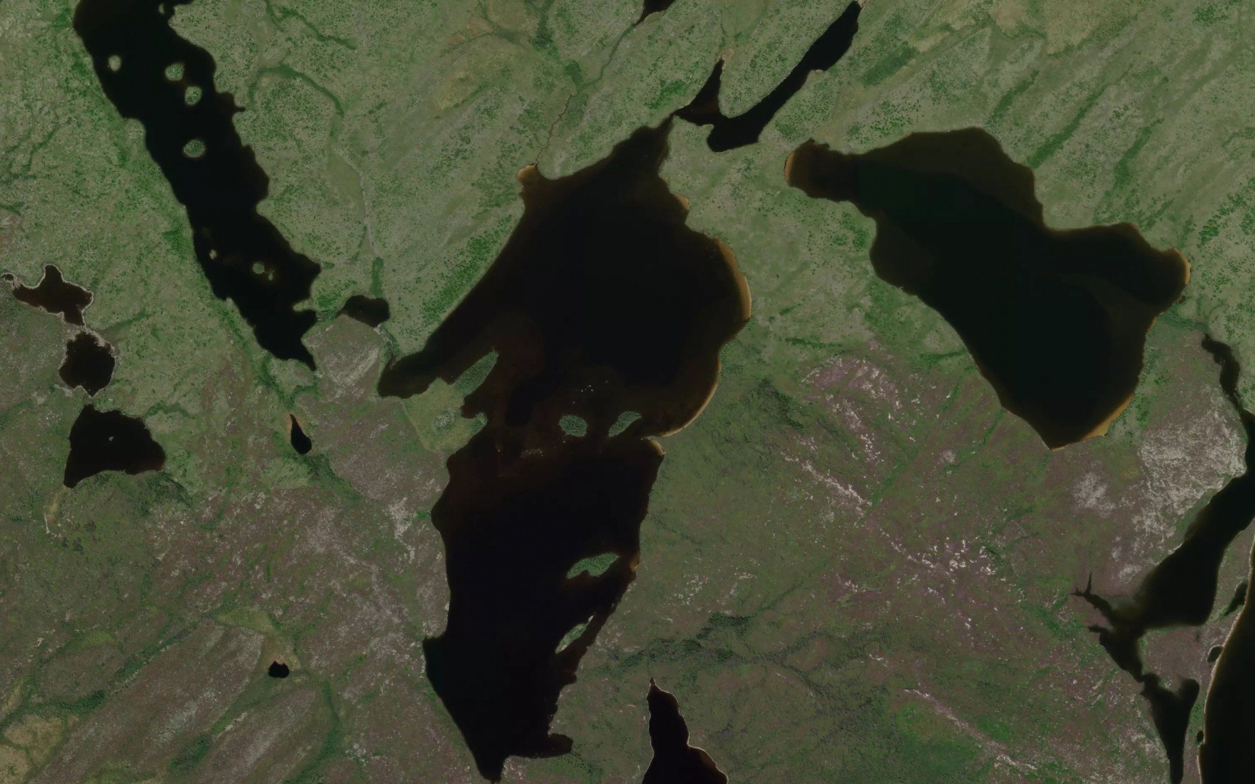 Lac des Parulines