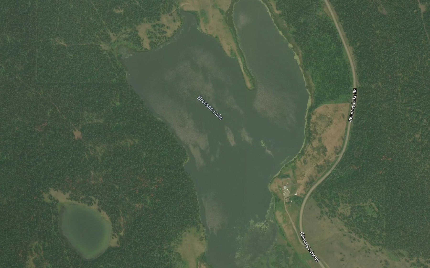 Satellite map of the Brunson Lake