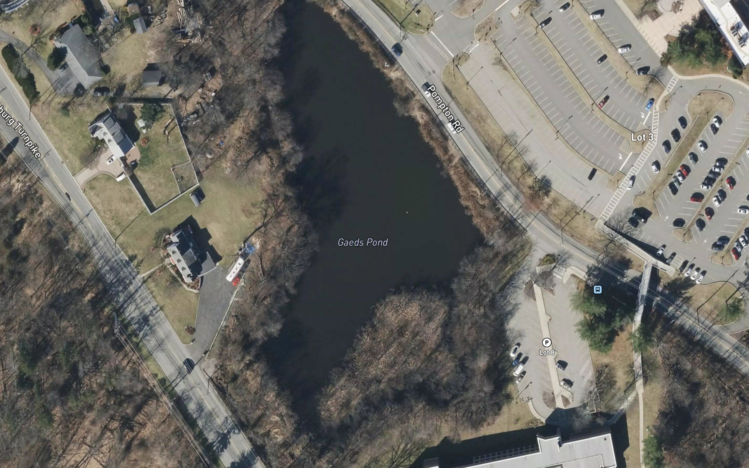 Grebe Pond