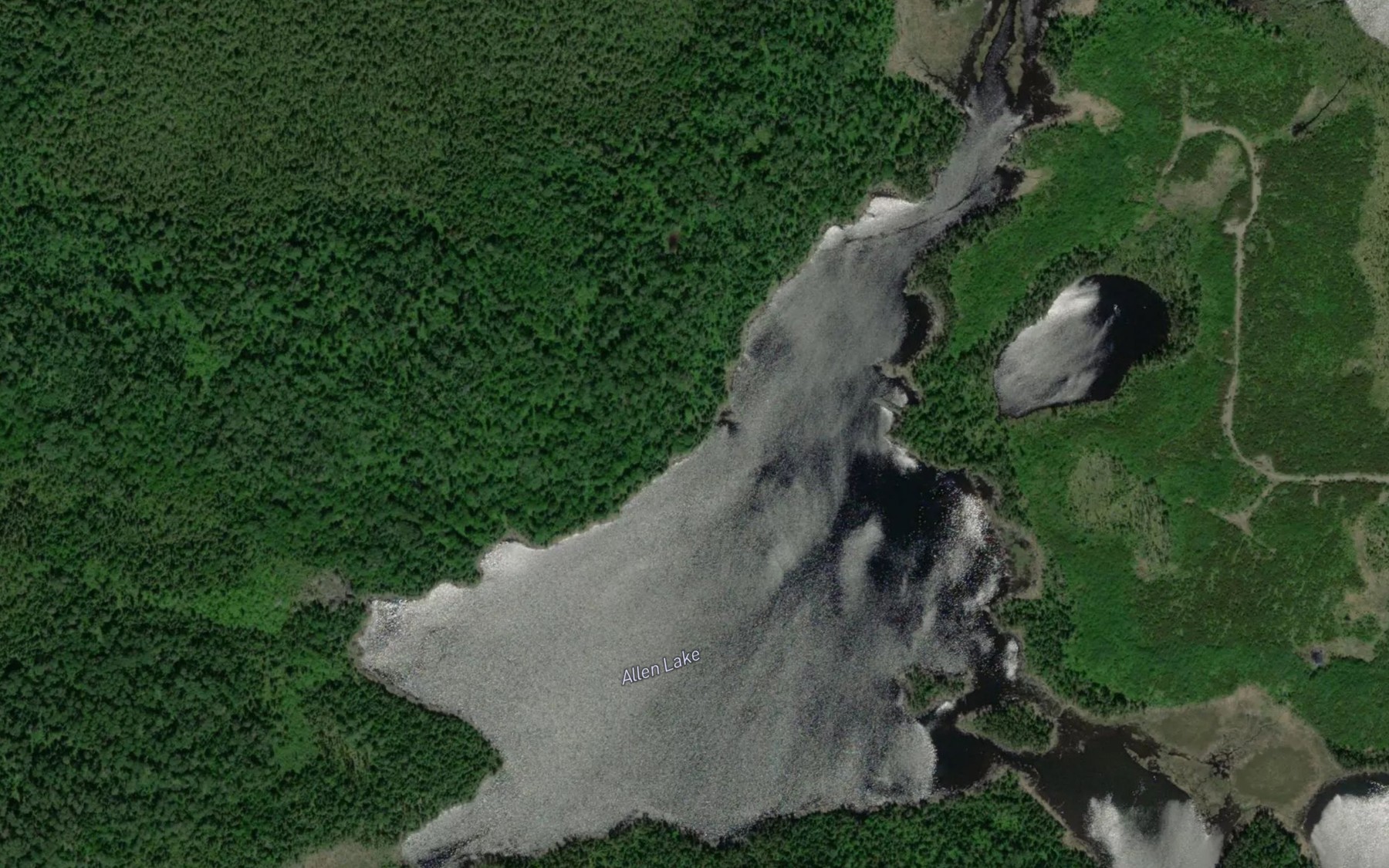 Satellite map of the Allen Lake