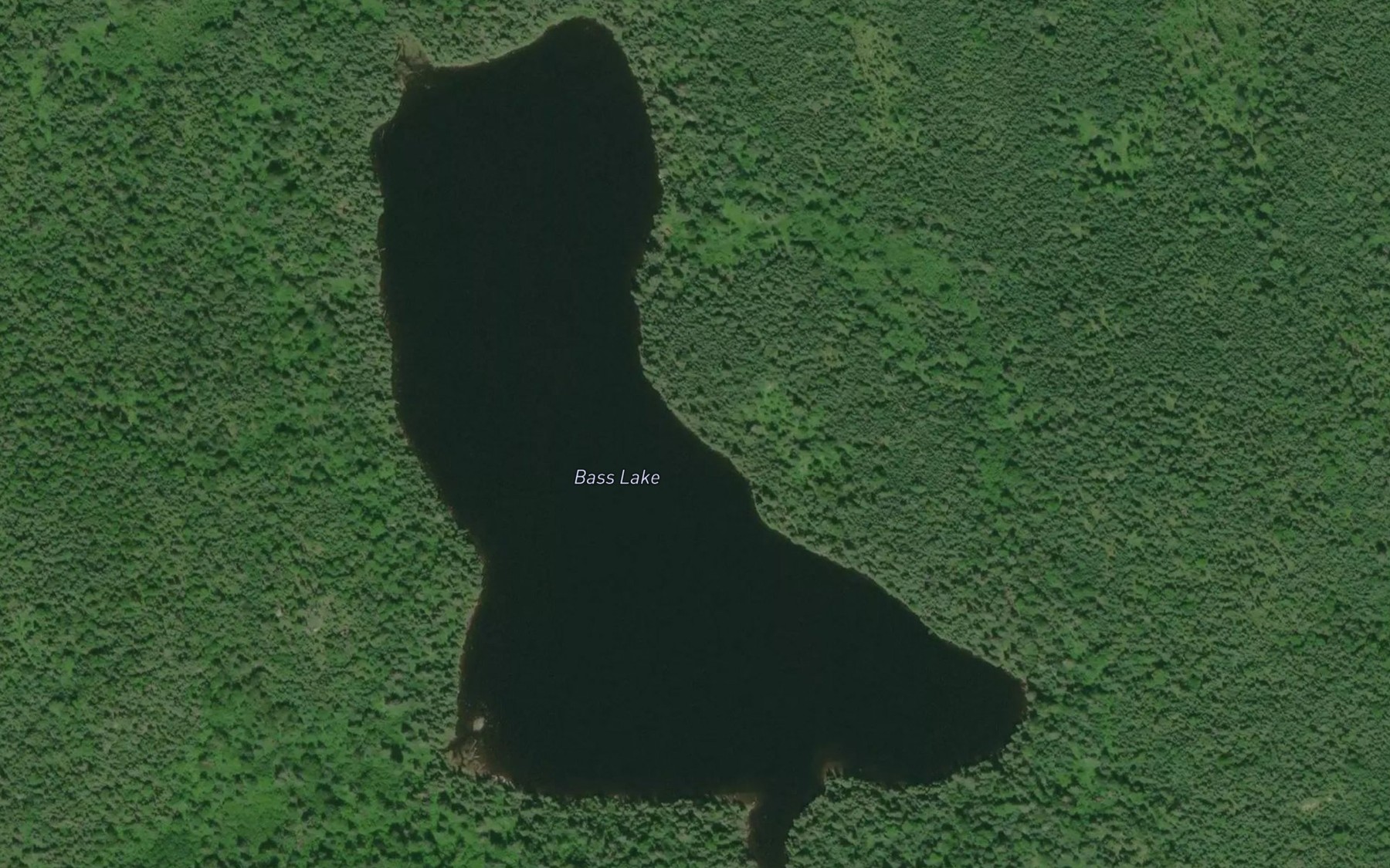 Satellite map of the Bass Lake