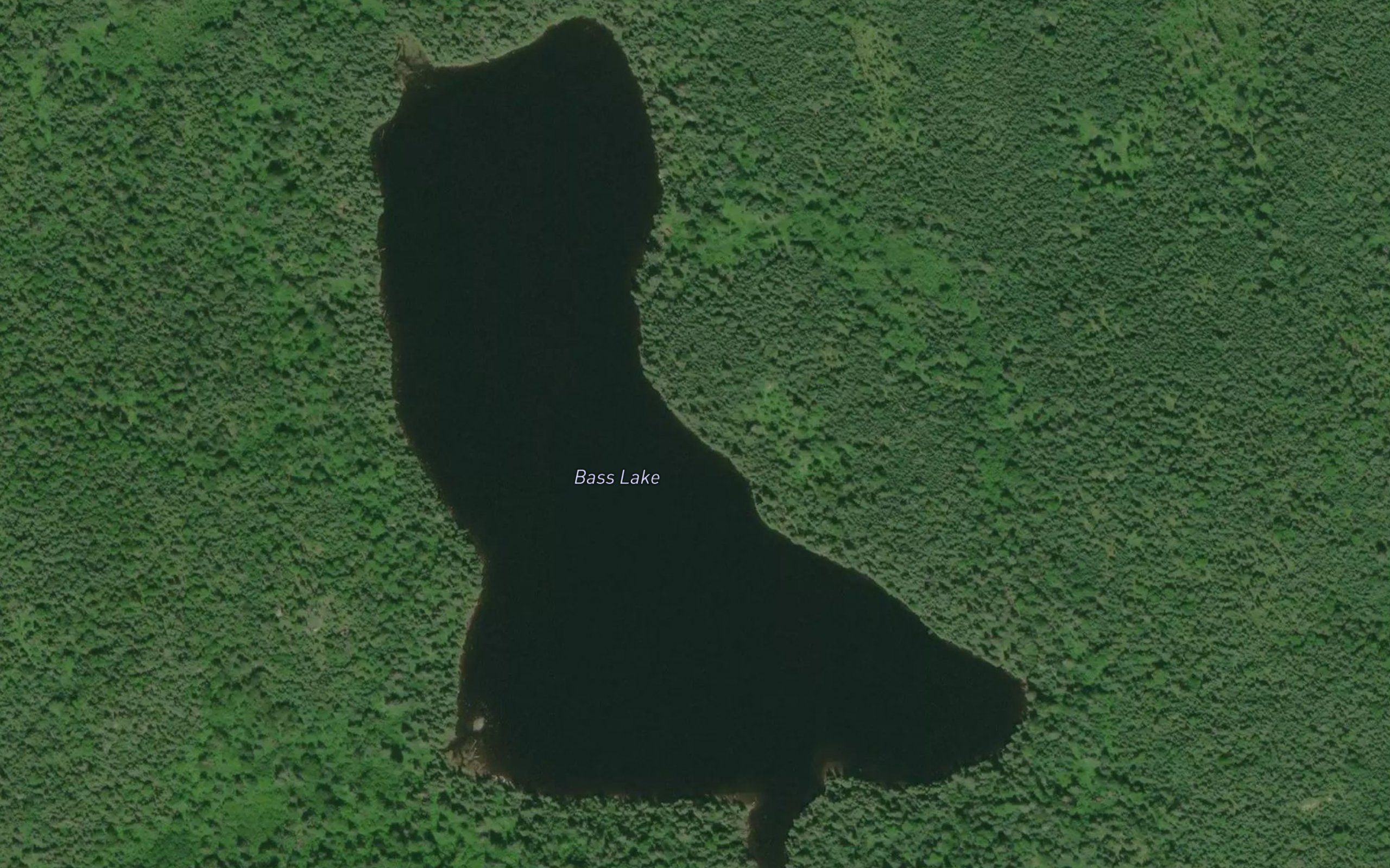 Bass Lake