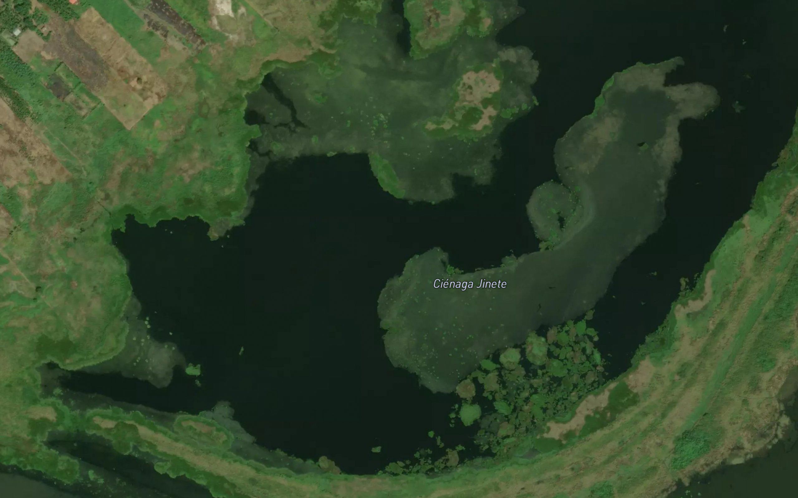 Cienaga Jinete