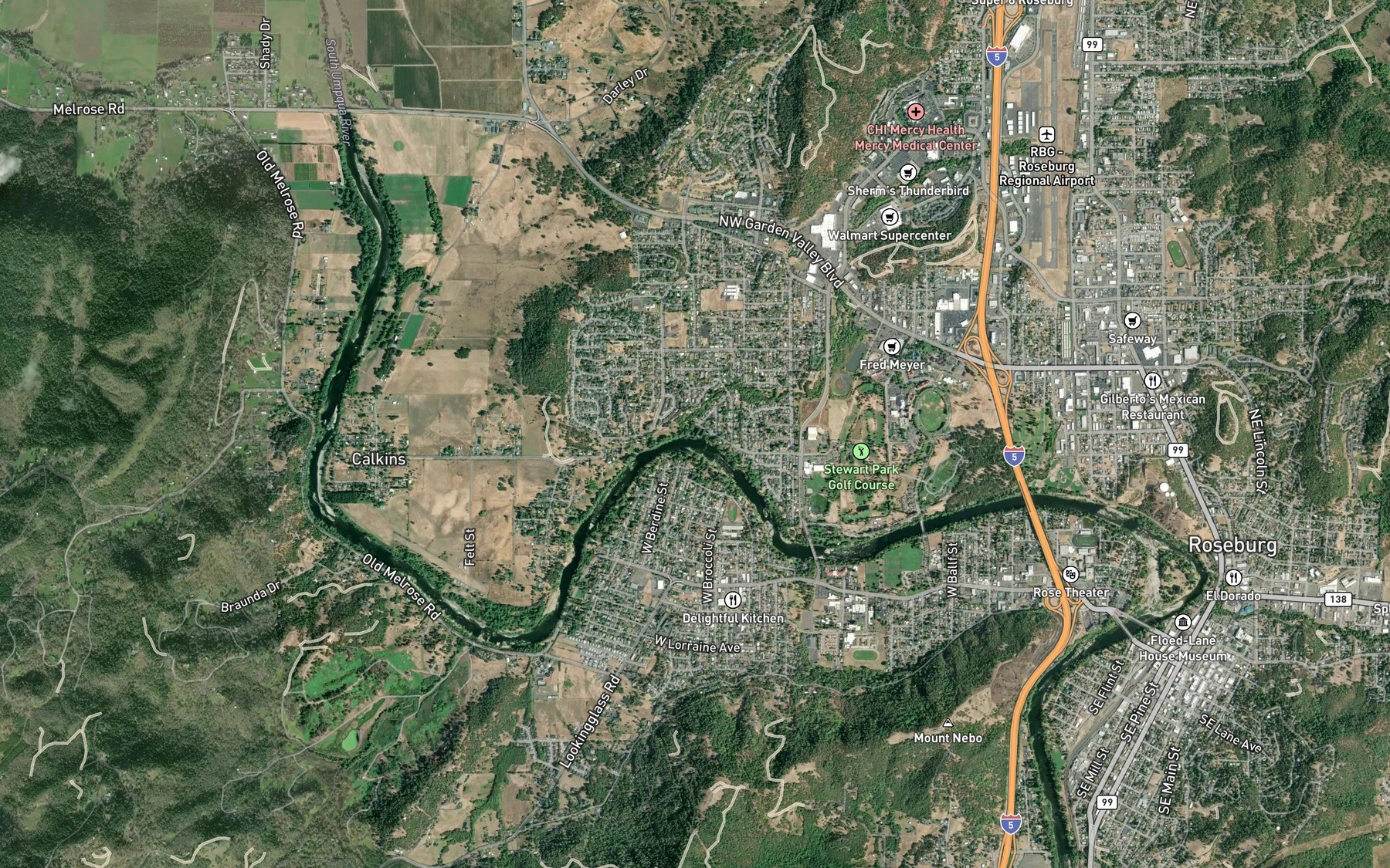 Satellite map of the Newton Creek
