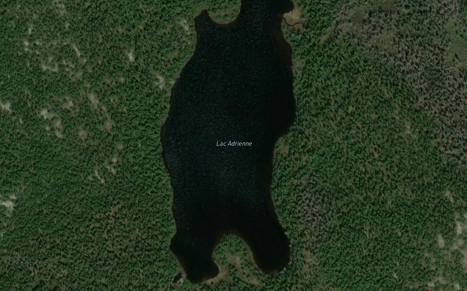 Satellite map of the Lac Adrienne