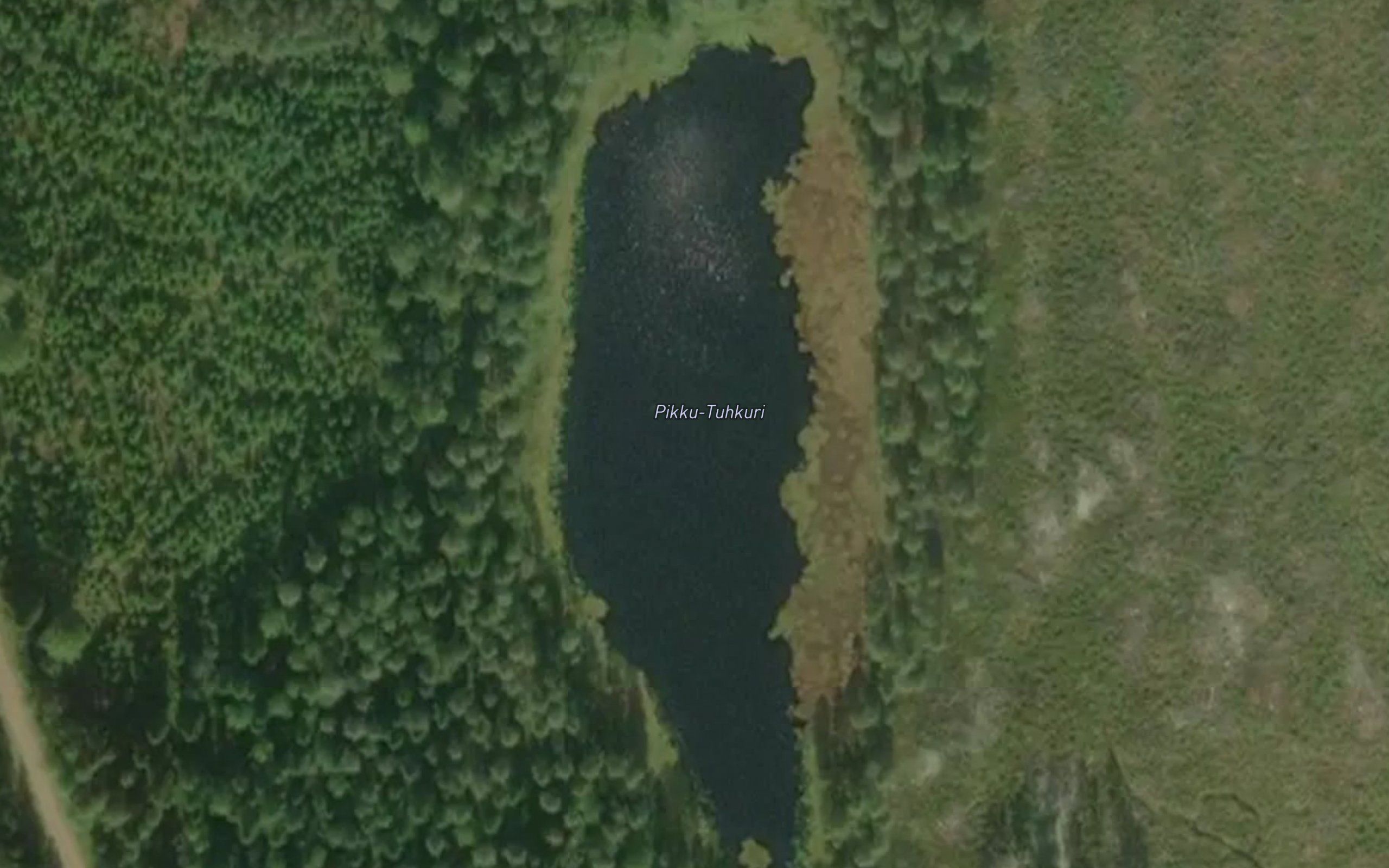 Pikku-Tuhkuri
