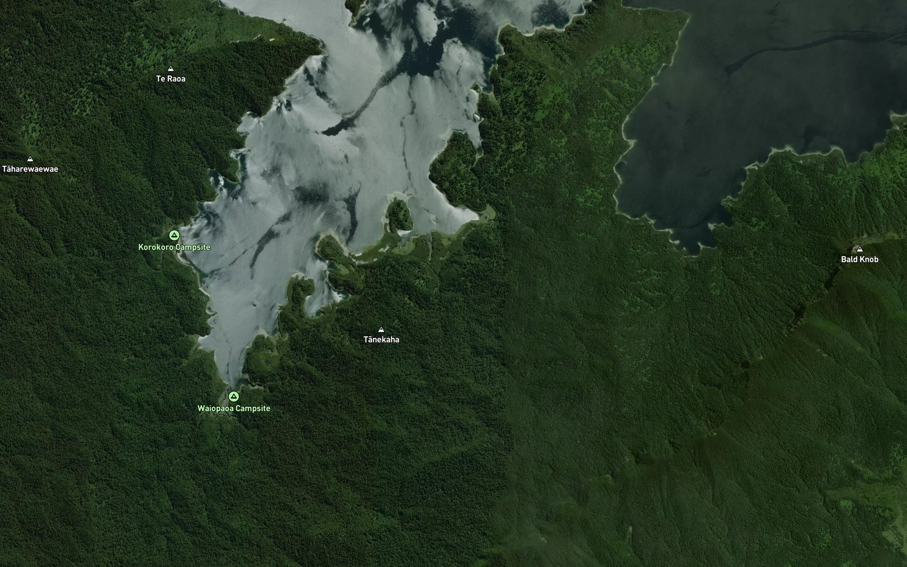 Satellite map of the Whakenepuru Stream