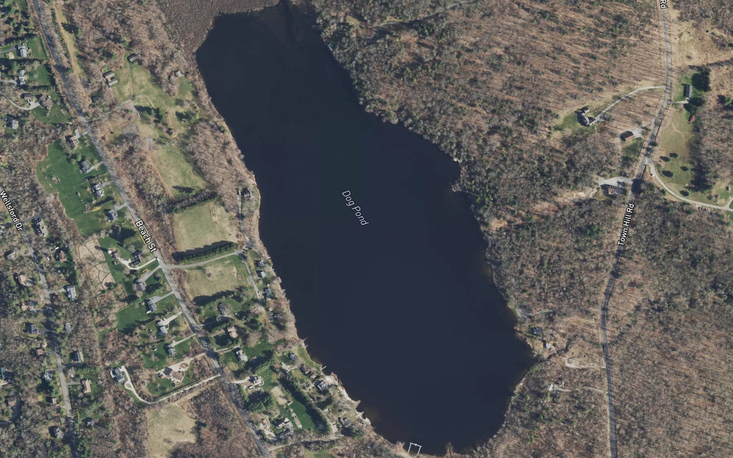 Dog Pond