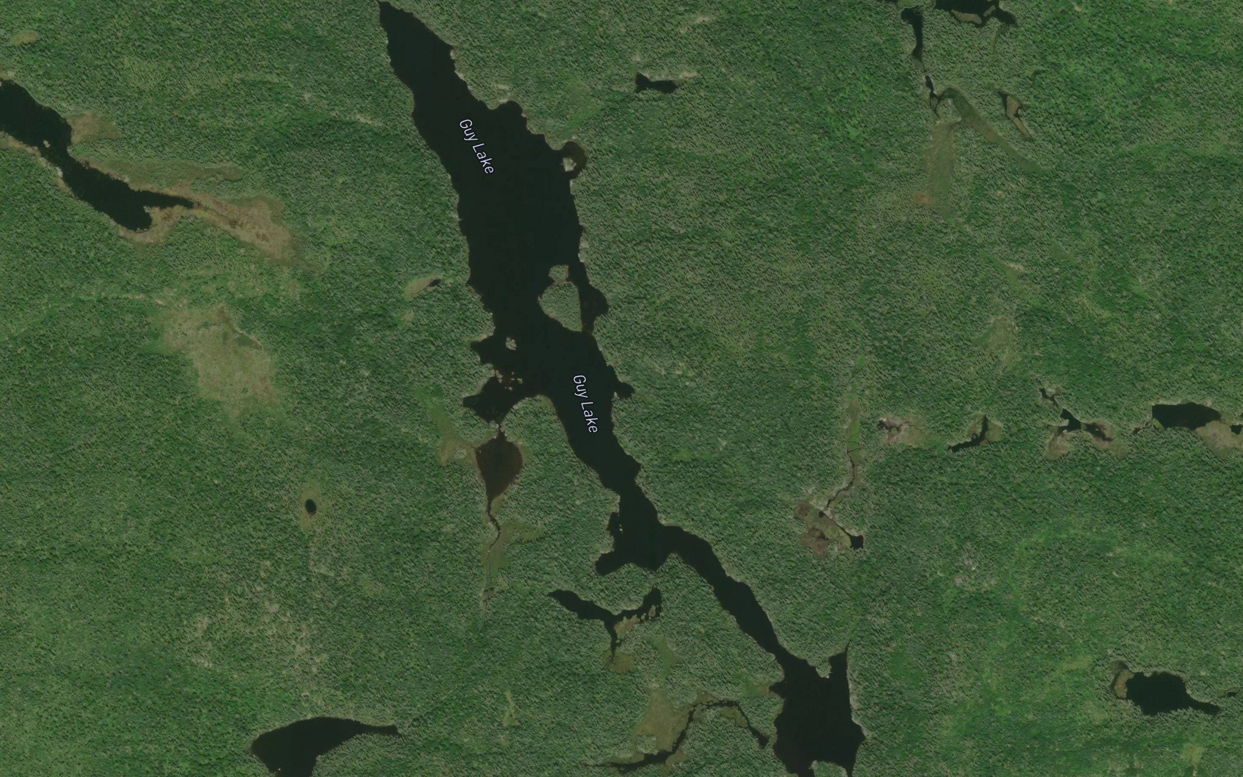 Guy Lake