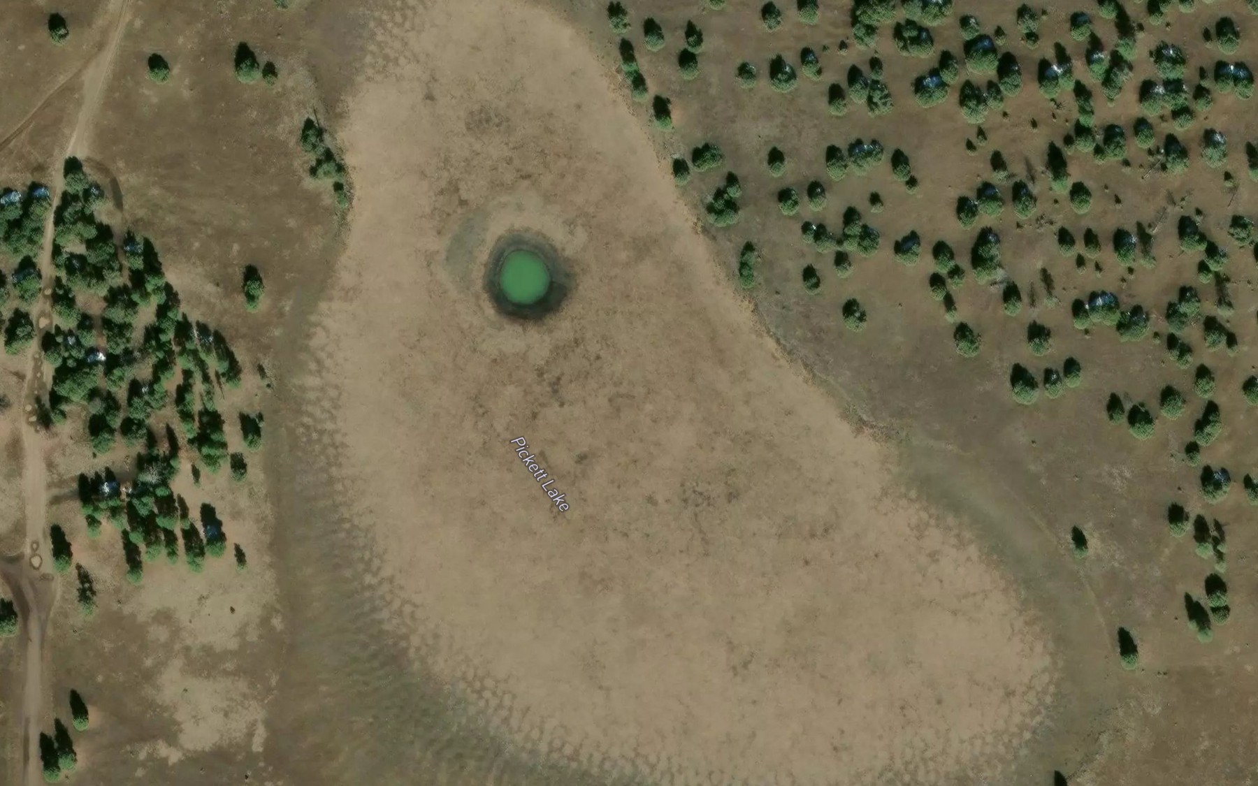 Satellite map of the Pickett Lake