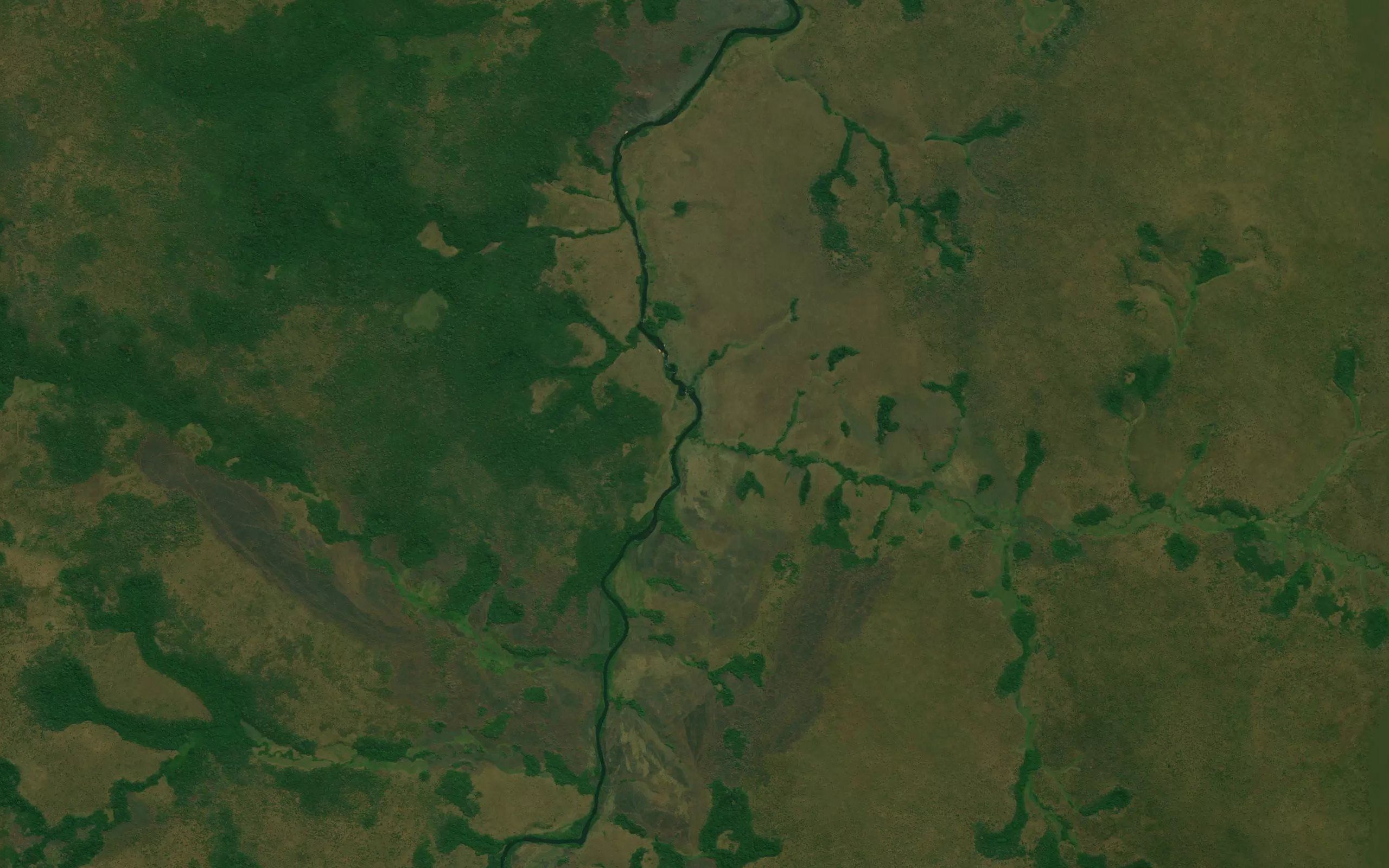 Uamba