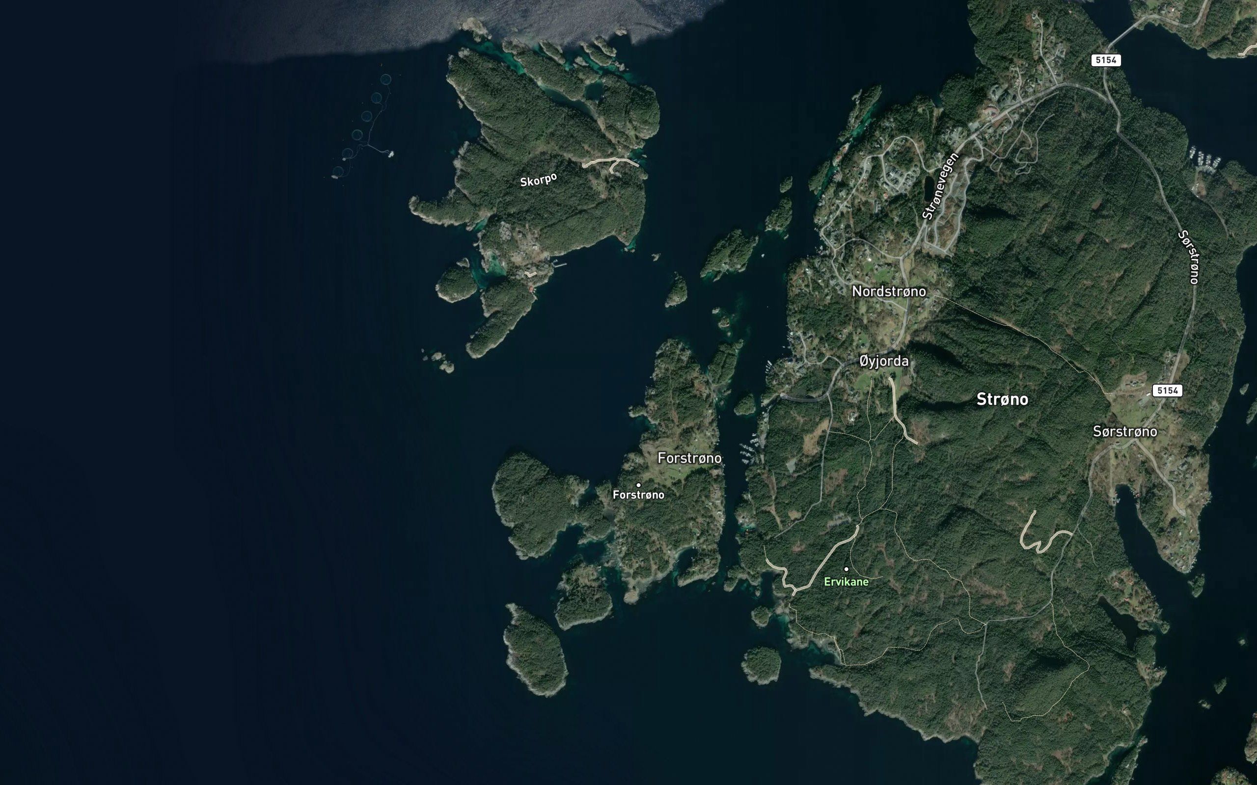 Skorpeosen